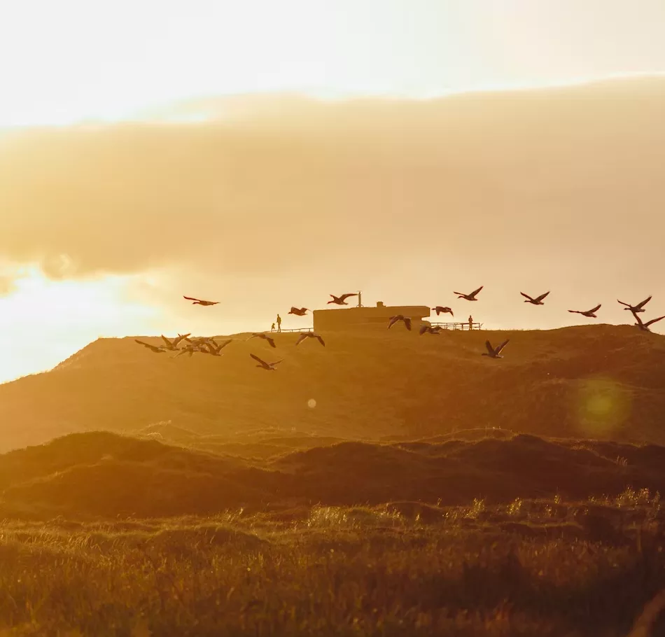 Voorjaarsvakantie naar Texel